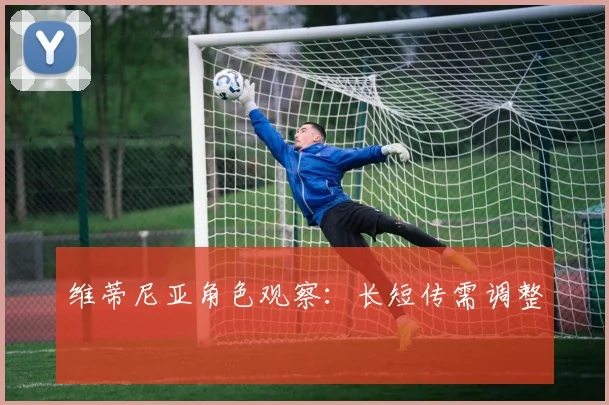 维蒂尼亚角色观察：长短传需调整