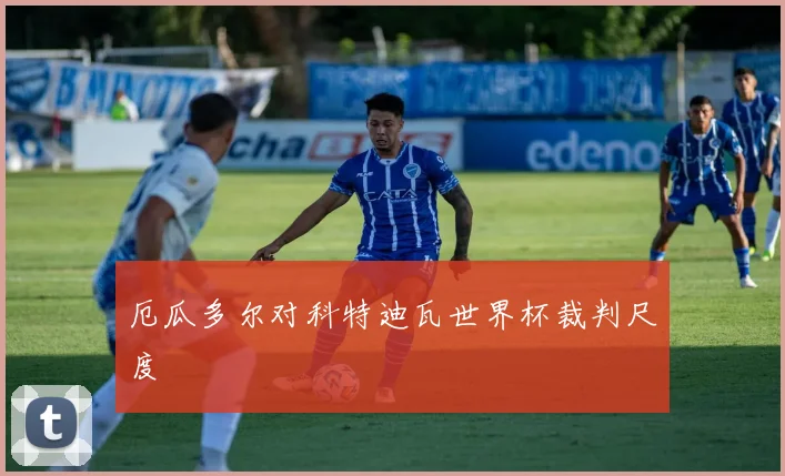 厄瓜多尔对科特迪瓦世界杯裁判尺度