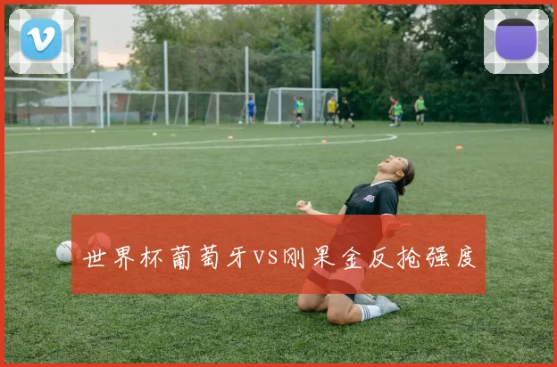 世界杯葡萄牙vs刚果金反抢强度