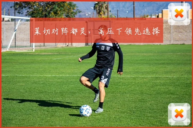 莱切对阵都灵，高压下领先选择